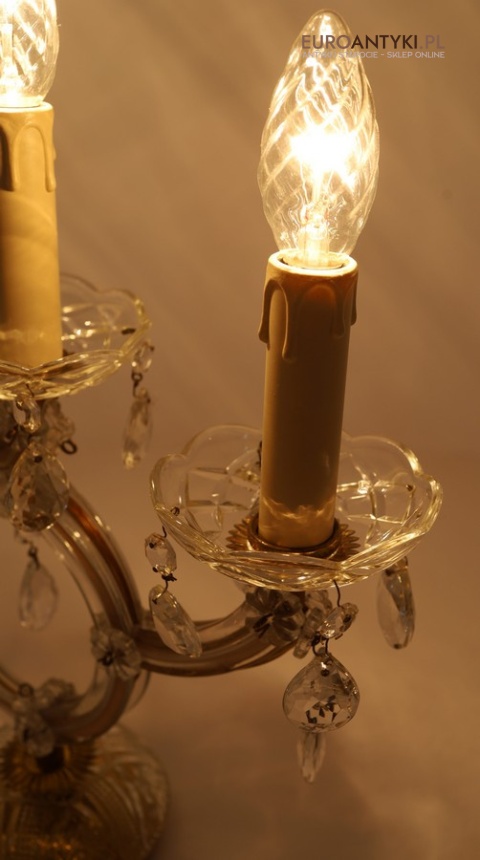 lampka maria teresa do biura lub gabinetu