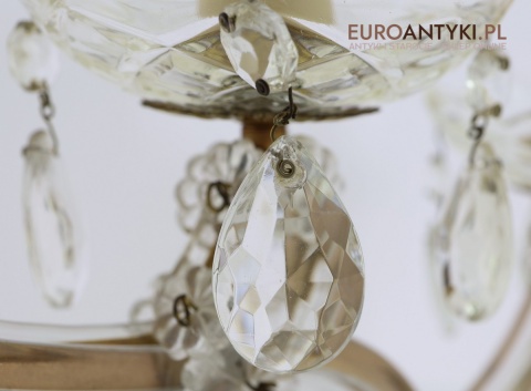 maria teresa lampy online