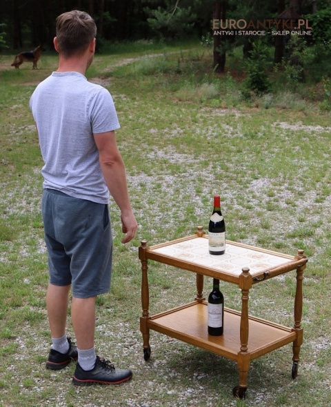 Stylowy stolik serwisowy, barek na kółkach – idealny do salonu, kuchni lub ogrodu zimowego