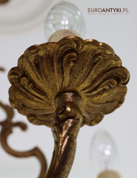 Mosiężny żyrandol z muszlowymi talerzykami