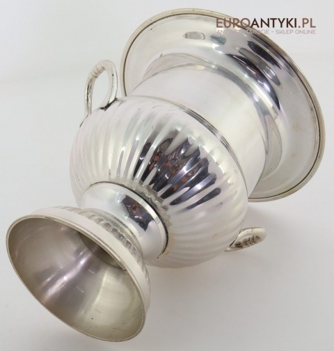 elegancki pojemnik na lód