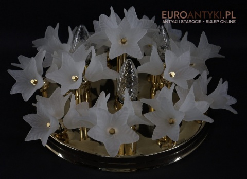 dekoracyjny plafon sufitowy z florystycznymi kloszami