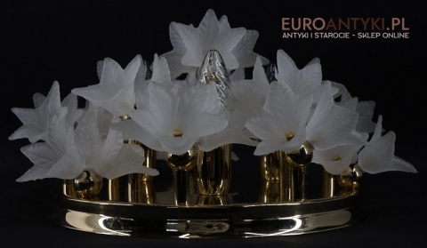 florystyczny plafon mosiądz i szklane klosze