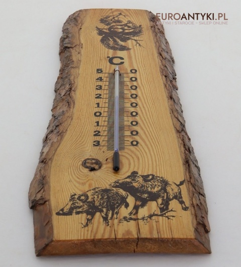 termometr do leśniczówki