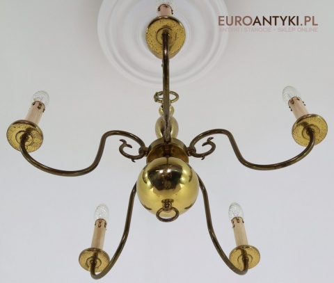 żyrandol pająk europejski