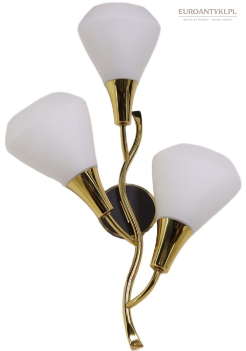 Klasyczny kinkiet mosiężny mid century modern - lampa ścienna w formie kwiatu