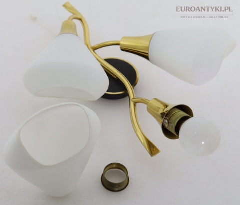 Klasyczny kinkiet mosiężny mid century modern - lampa ścienna w formie kwiatu
