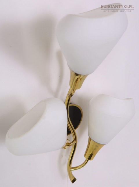 Klasyczny kinkiet mosiężny mid century modern - lampa ścienna w formie kwiatu