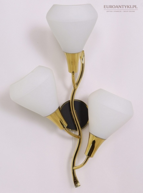 Klasyczny kinkiet mosiężny mid century modern - lampa ścienna w formie kwiatu