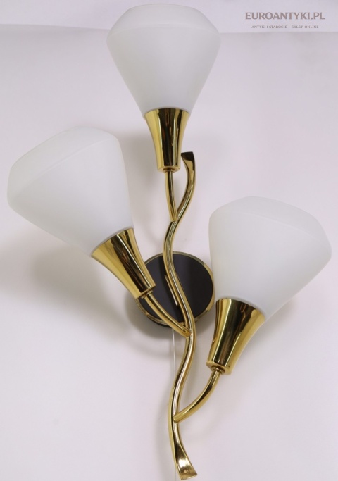 Klasyczny kinkiet mosiężny mid century modern - lampa ścienna w formie kwiatu