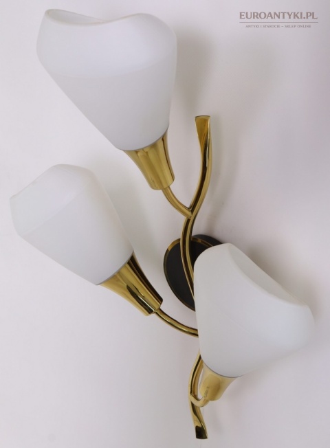 Klasyczny kinkiet mosiężny mid century modern - lampa ścienna w formie kwiatu