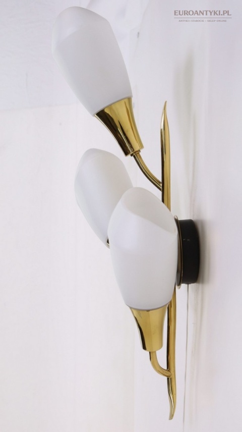 Klasyczny kinkiet mosiężny mid century modern - lampa ścienna w formie kwiatu