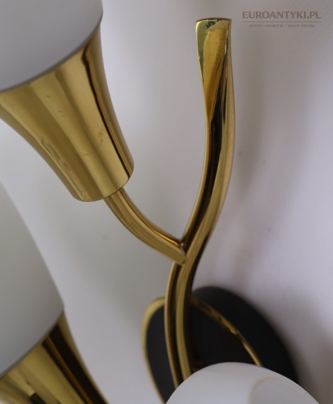 Klasyczny kinkiet mosiężny mid century modern - lampa ścienna w formie kwiatu