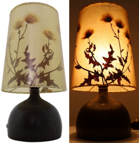 lampa vintage z prawdziwymi roślinami