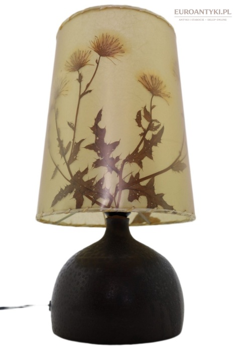lampa retro z ostem w abażurze