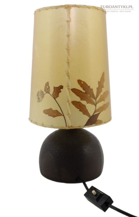 lampa retro do klimatycznych wnętrz rośliny