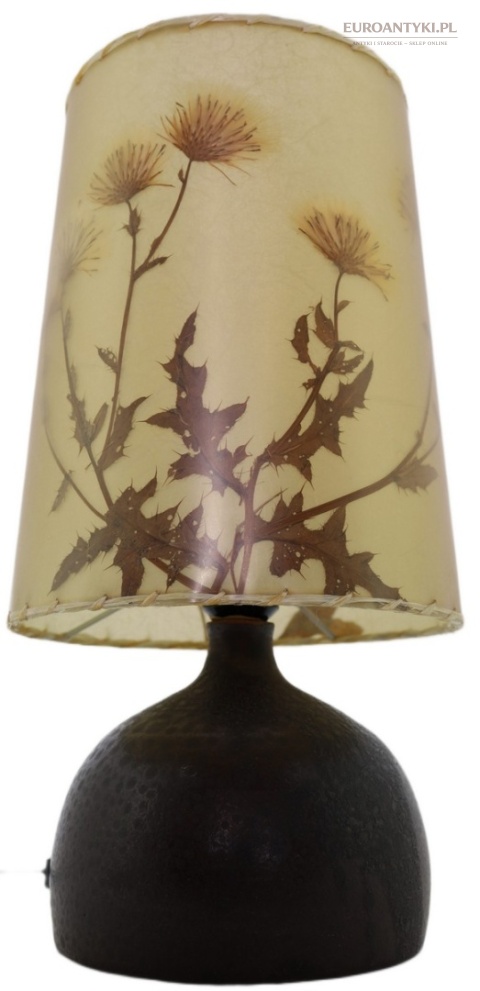 lampka z rośliną dekoracyjną vintage retro