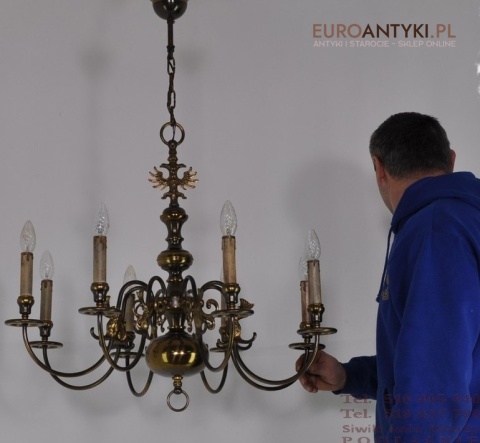 DUZY STARY BRAZOWY PAJAK XXL ZYRANDOL x