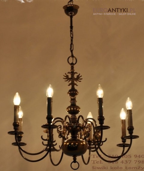 DUZY STARY BRAZOWY PAJAK XXL ZYRANDOL x