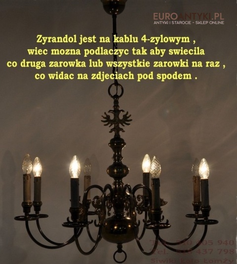 DUZY STARY BRAZOWY PAJAK XXL ZYRANDOL x