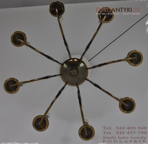 DUZY STARY BRAZOWY PAJAK XXL ZYRANDOL x