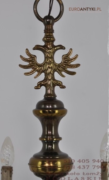 DUZY STARY BRAZOWY PAJAK XXL ZYRANDOL x