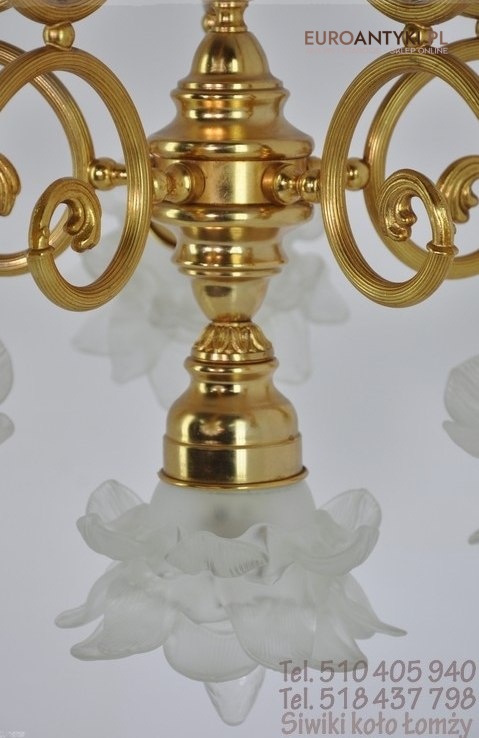 WYJATKOWY STARY DUZY ZYRANDOL Z KLOSZAMI KWIATY x