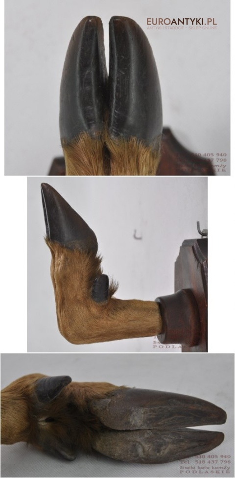 WIESZAK MYSLIWSKI WIESZAKI HAKI hak POLOWANIE