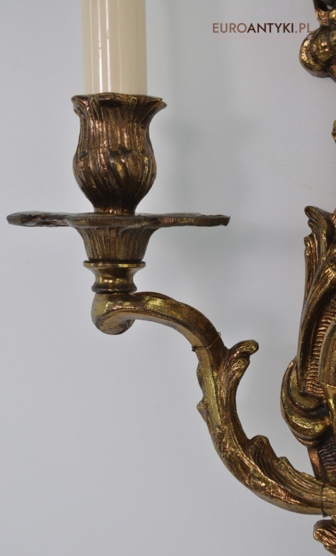 detale roślinne w lampie