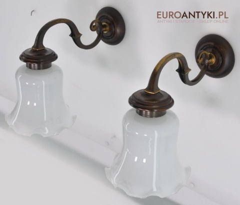 kinkiety biblioteczne