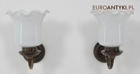 stare szklane klosze