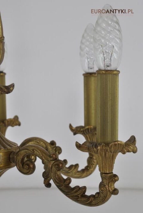 wzory w stylu rokoko