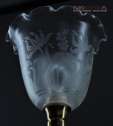 florystyczne wzory na kloszu