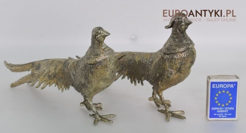 ozdobne bażanty srebrne