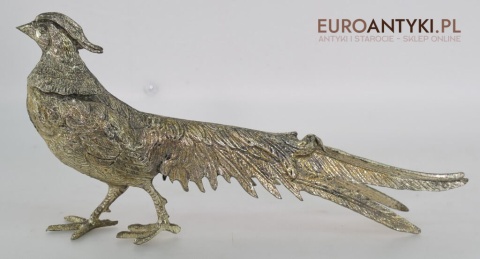 dekoracyjne bażanty