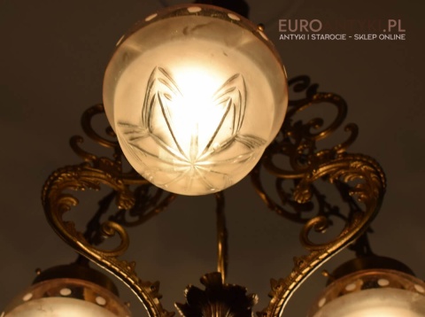 królewski żyrandol