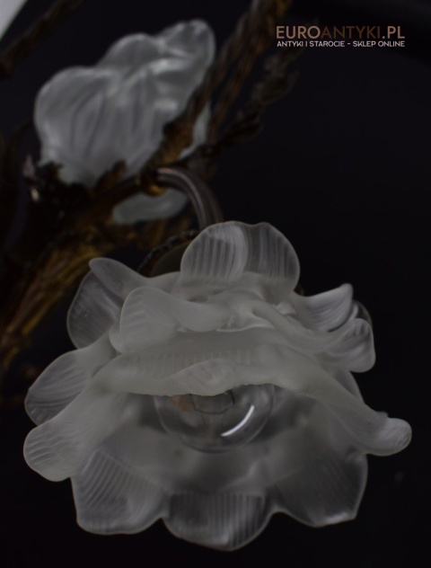 Żyrandol Napoleon antyczna lampa sufitowa z kloszami oświetlenie do zamku pałacu