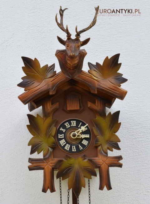 kukułka szwardzwalska