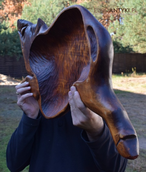 Antyk, ręcznie rzeźbiona taca dzika. Taca na dworski stół. XXL!