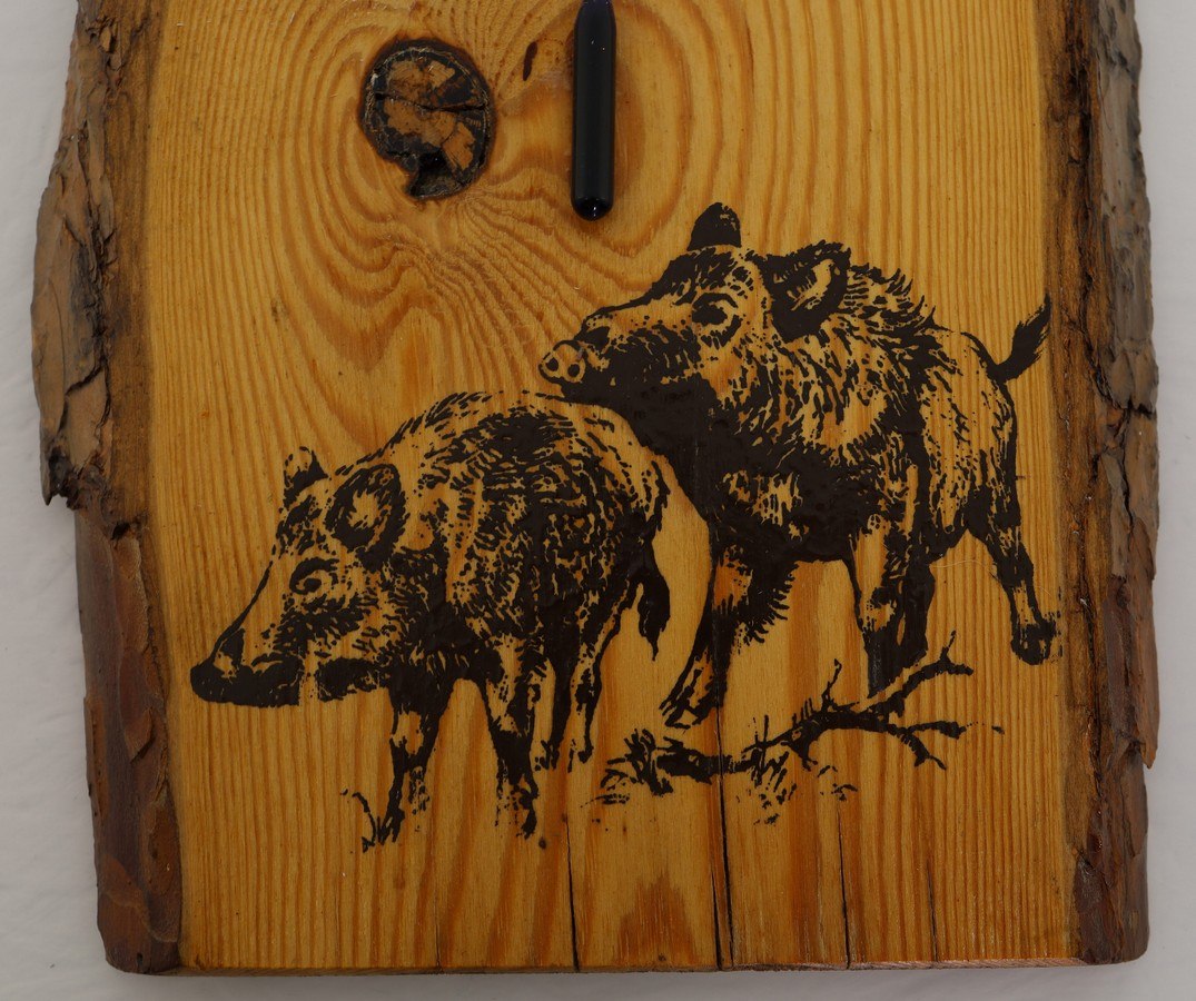 wystr&oacute;j leśnicz&oacute;wki